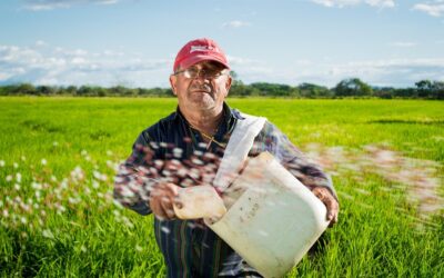 Grow With Resilience — New $14.6M Booster for Ontario Farmlands